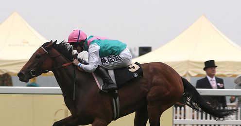 Riposte: has 'potential and a blue-blooded pedigree'
