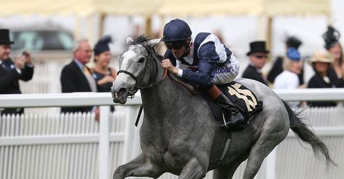 Sky Lantern: Will challenge in the Falmouth Stakes