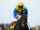 Novellist (IRE)