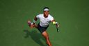 Nadal powers past Dodig