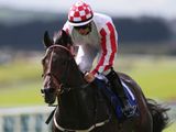 Slade Power (IRE)