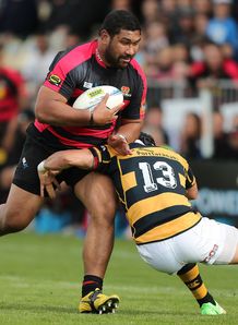 Paea Fa anunu for Canterbury Paea Fa anunu for Canterbury