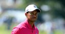 Tiger hit with 'cheat' slur