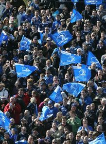 Leinster fans Leinster fans