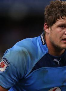 Paul Willemse Blue Bulls CC 2013 Paul Willemse Blue Bulls CC 2013