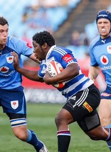 Siyabonga Ntubeni Western Province Grant Hattingh Bulls Currie Cup Siyabonga Ntubeni Western Province Grant Hattingh Bulls Currie Cup