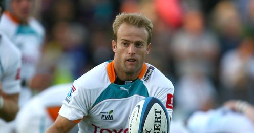 sarel pretorius cheetahs sarel pretorius cheetahs