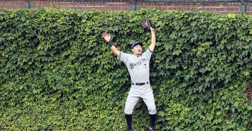Hedge of reason: Alex likes the ivy at Wrigley Field