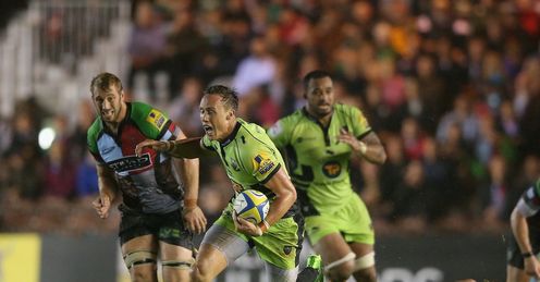 james wilson northampton harlequins james wilson northampton harlequins
