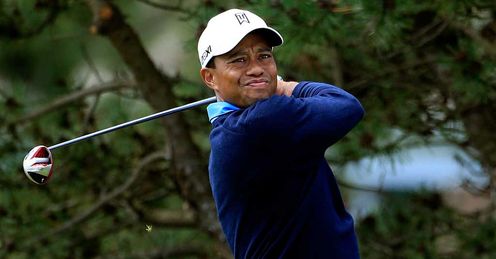 Tiger Woods: PGAA Player of the Year