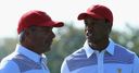 Tiger not getting aggressive