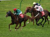 Scatter Dice (IRE)