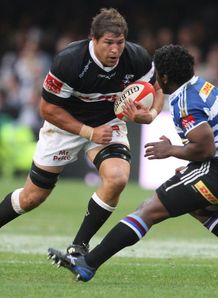willem alberts sharks western province willem alberts sharks western province