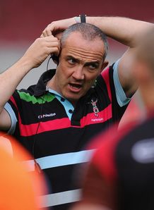 conor oshea harlequins conor oshea harlequins