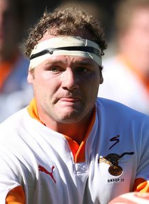 Schalk van der Merwe Cheetahs prop Schalk van der Merwe Cheetahs prop