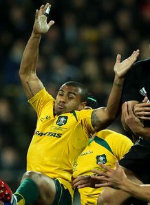 Will Genia Aus v NZ RC 2013 Will Genia Aus v NZ RC 2013