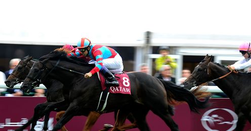 Alex tips Kizuna for l'Arc de Triomphe victory