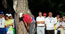 Tiger: I'm still in the hunt