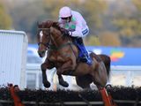 Annie Power (IRE)