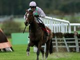 Faugheen (IRE)