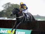 Mendip Express (IRE)