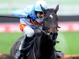 The Liquidator