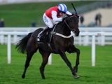 Josses Hill (IRE)