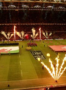 Wales Millennium Dove Wales Millennium Dove