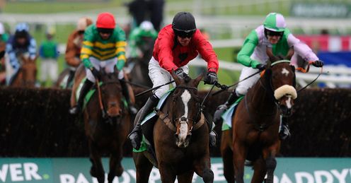 Hidden Cyclone: worth a punt at Ascot?