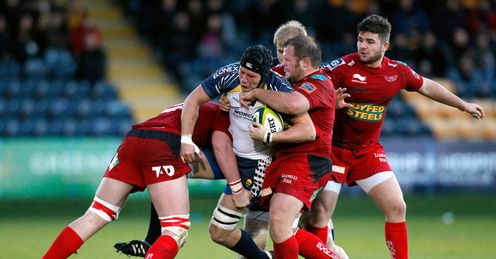 Jacobie Adriaanse Scarlets PRO12 Jacobie Adriaanse Scarlets PRO12