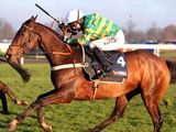 My Tent Or Yours (IRE)