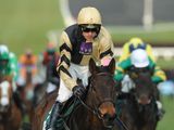Briar Hill (IRE)