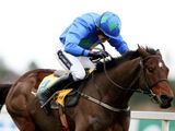 Hurricane Fly (IRE)