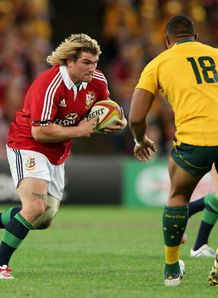 richard hibbard lions richard hibbard lions