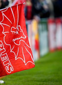 scarlets scarlets