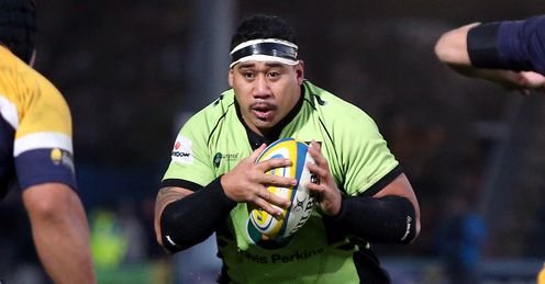 salesi maafu northampton saints salesi maafu northampton saints