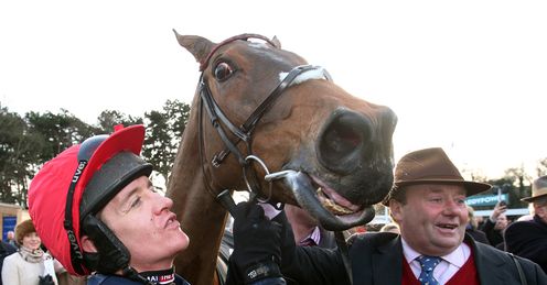 Bobs Worth should run well at Cheltenham, says Alex