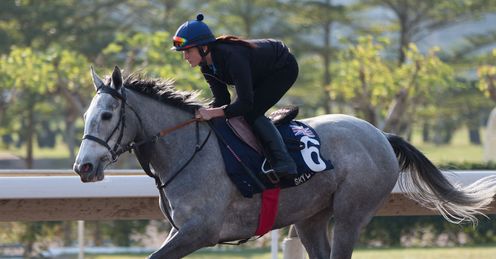 Sky Lantern: faces still competition from Moonlight Cloud in Hong Kong