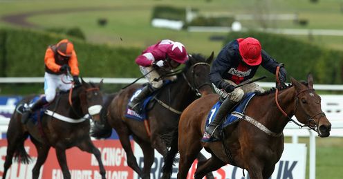 Bobs Worth: Tipped to triumph once again in the Gold Cup