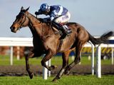 Captain Chris (IRE)