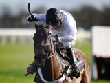 Royal Boy (FR)