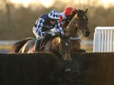 Shotgun Paddy (IRE)