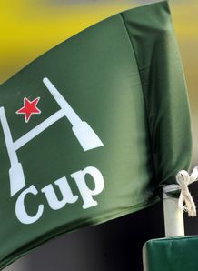 The official flag of the Heineken Cup rugby The official flag of the Heineken Cup rugby