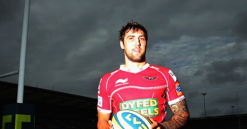 scarlets josh turnbull scarlets josh turnbull