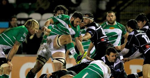 Action from Newcastle Falcons versus Brive Action from Newcastle Falcons versus Brive