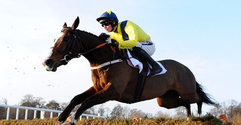 Our Conor can go back-to-back in the Triumph Hurdle, says Alex