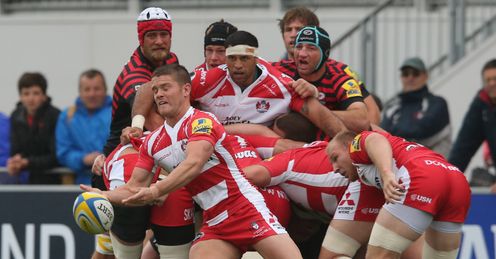 Tavis Knoyle Gloucester Rugby union Tavis Knoyle Gloucester Rugby union