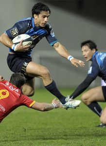robert ebersohn montpellier perpignan robert ebersohn montpellier perpignan