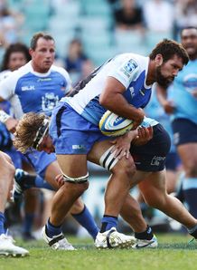 Super Rugby: Western Force kick off home campaign against Brumbies Super Rugby: Western Force kick off home campaign against Brumbies