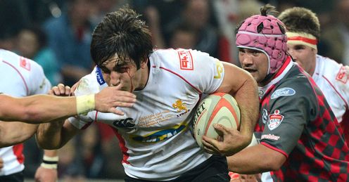 Warwick Tecklenburg for the Golden Lions Warwick Tecklenburg for the Golden Lions